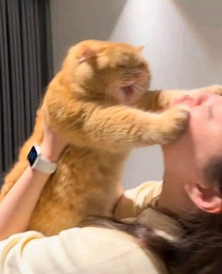 Металевий пін "Мирне рішення буде"